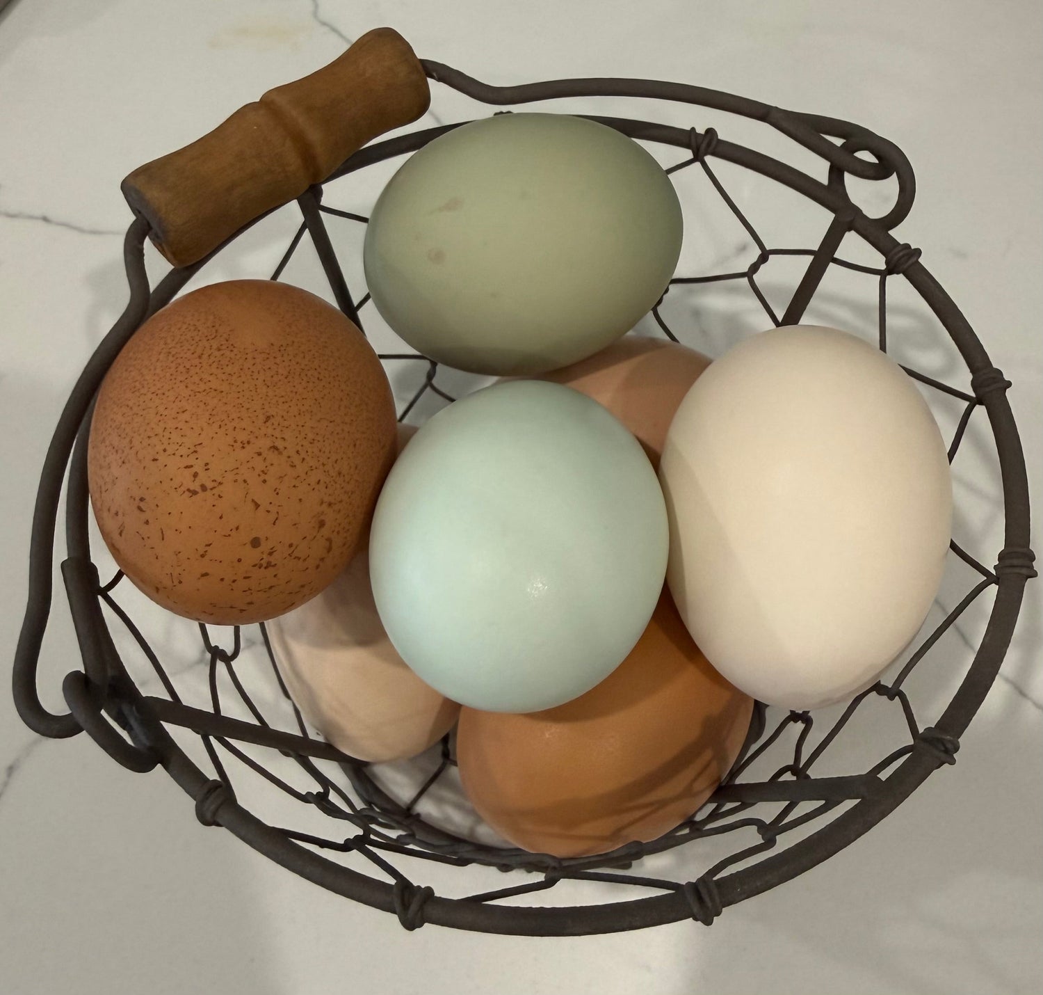 Eating Eggs