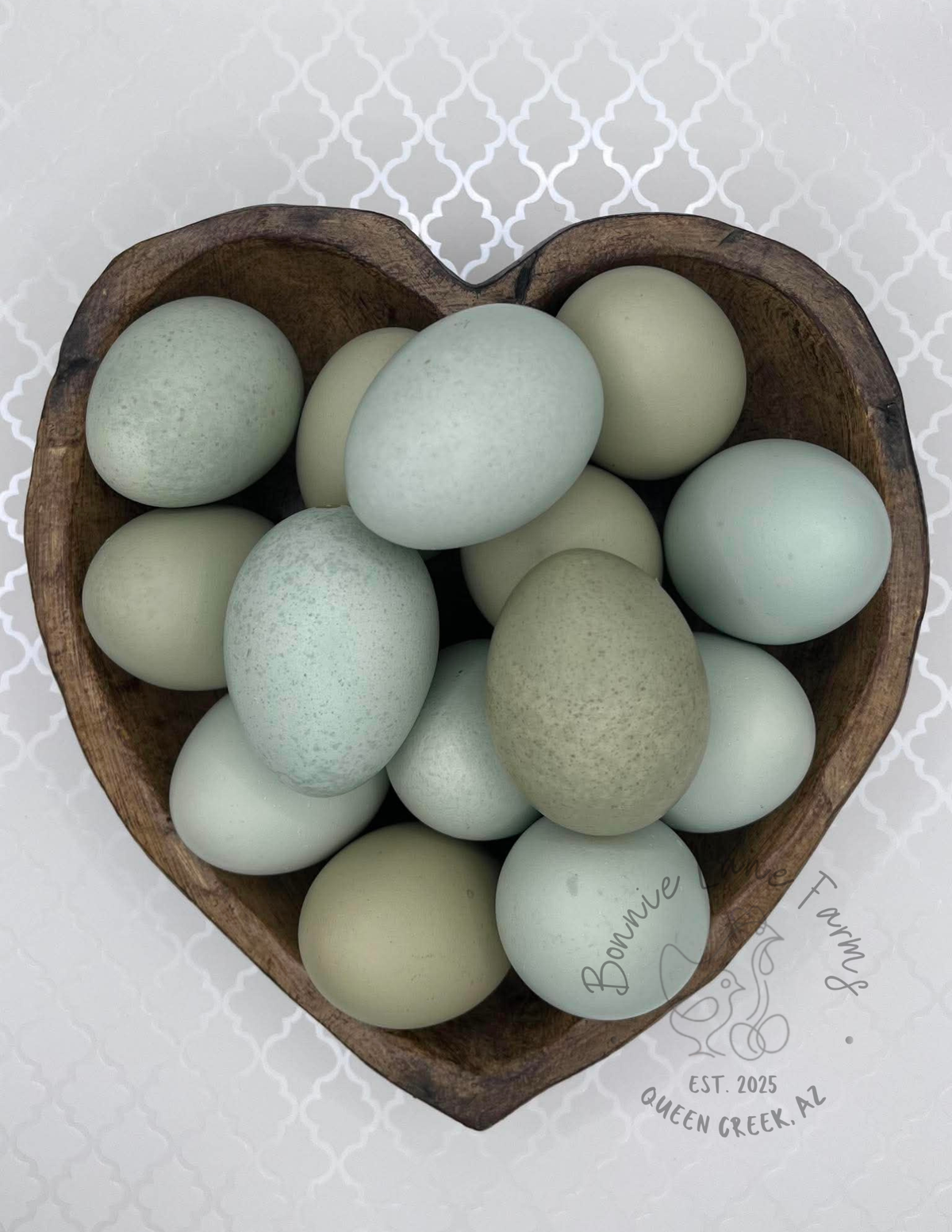Silverudd Blue Hatching Eggs